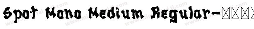 Spot Mono Medium Regular字体转换
